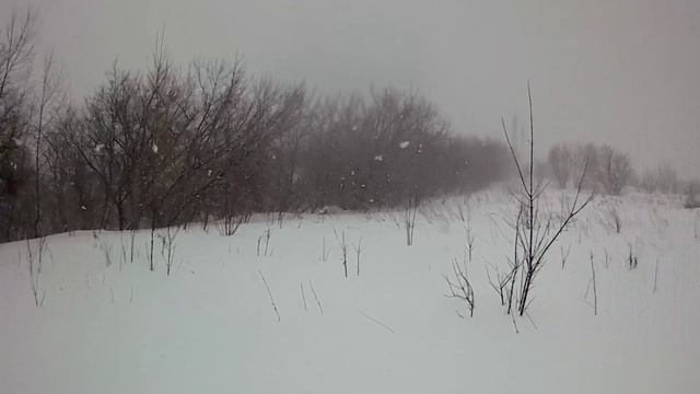 Снегопады в Сибири.