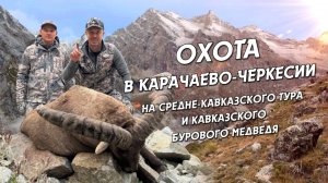 ОХОТА В КАРАЧАЕВО-ЧЕРКЕСИИ НА СРЕДНЕ-КАВКАЗСКОГО ТУРА И КАВКАЗСКОГО БУРОВОГО МЕДВЕДЯ