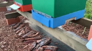 Прилетная доска для дна lyson