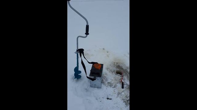 Выходной на реке