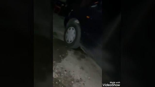 Кучето от квартала