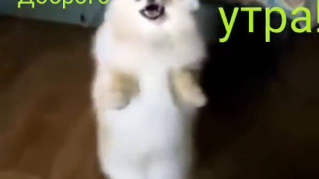 Доброе утро!