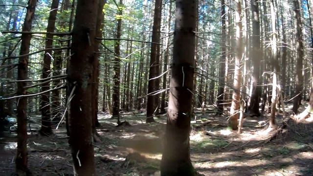 Спроба піднятися на гору Попадя