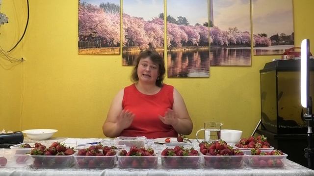 Серия 1. Замер сахара в ранних сортах клубники с 1 по 10 номер. смотреть онлайн