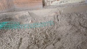 Курица от А до Я. Земляной пол в курятнике, плюсы и минусы.