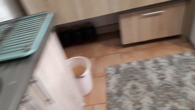 ХОДИ, ХОДИ, -ГУЛЯЙ!