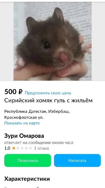 блин, бедный хомяк 😟 смотреть онлайн