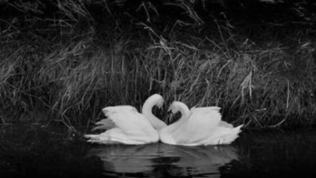 Любовь, поверьте мне не ад.