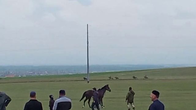 Скачки в Самашки.🐎🐎🐎 смотреть онлайн