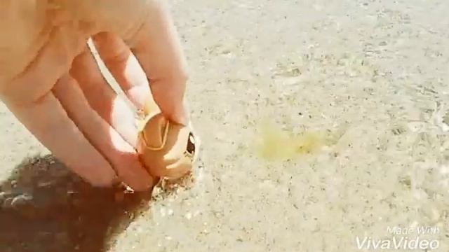 °○MV○° ЖаННа ФрИсКе