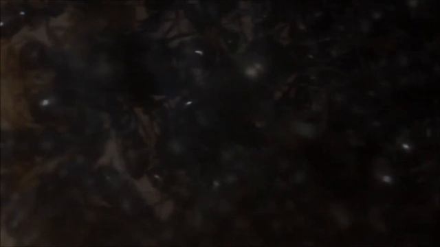 Vidéo de ma colonie de Formica cunicularia смотреть онлайн