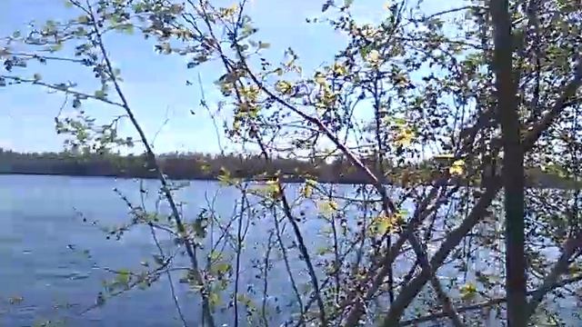 Часть 2  Вернулись назад, и ещё назад