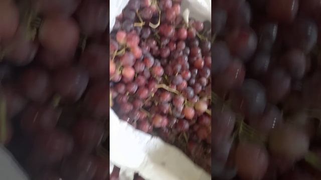 4 июля 2021 г.Фуд - Сити рынок суперр 🍇🍇🍇 Цени на Выноград 🍇🍇🍇🫒🫒🫒