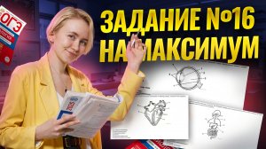 16 задание: Как решить на максимум? | Биология ОГЭ | Умскул