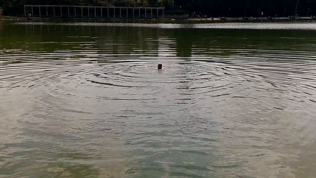 Железноводск, 24.08.2016 смотреть онлайн