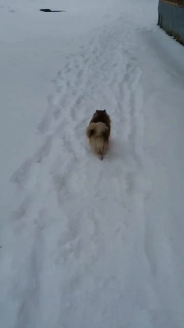 доброе утро#