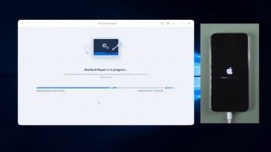 ReiBoot V8.0.3 User Guide: How to Use iOS System Repair