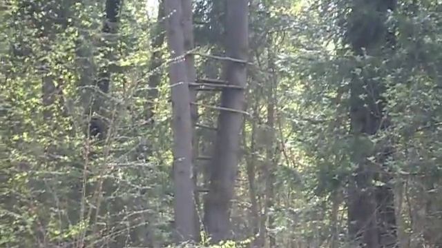 Лесные поляны 3 смотреть онлайн