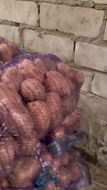 Rutube_account_12136064