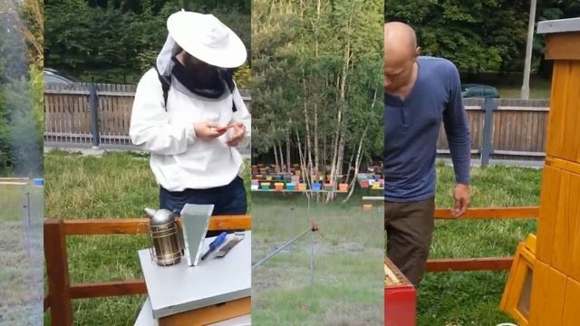 Кадры из фильма Охотники за медом