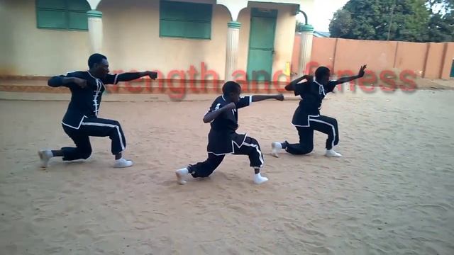 Nan Quan basic one (1) by Smart boys martial arts training center, make Kung Fu the reality