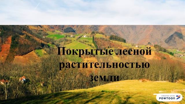 Лесной фонд РФ ОП.04 смотреть онлайн