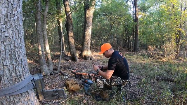 Guess what I caught scouting Whitetail смотреть онлайн