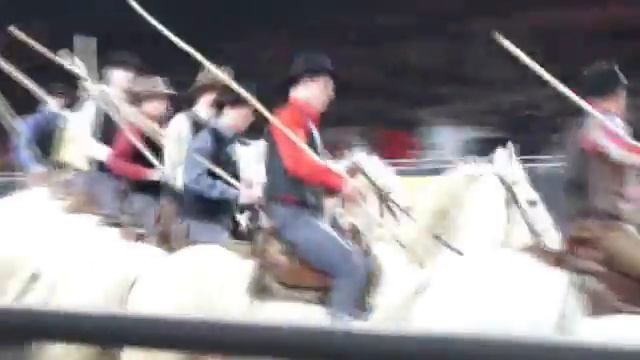 Эквитана 13 Камарги смотреть онлайн