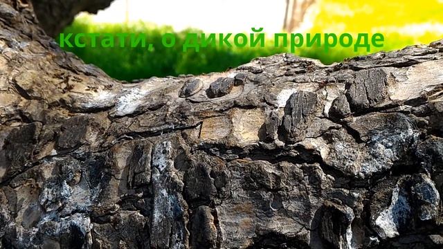 Первый отпуск смотреть онлайн