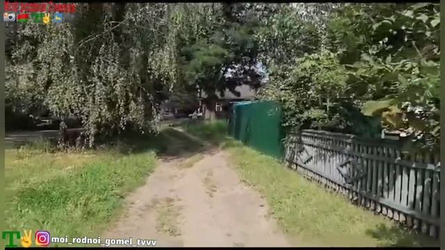 2.9.2023 Интернациональный проезд, 3 . Гомель#shortsvideo #гомель #беларусь #shortsfeed #shorts смотреть онлайн