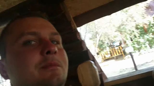 Кот 😹 в парке  Камышин