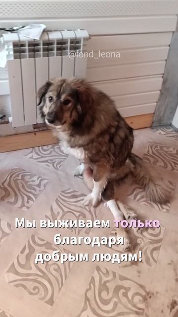 Барни собрали! смотреть онлайн