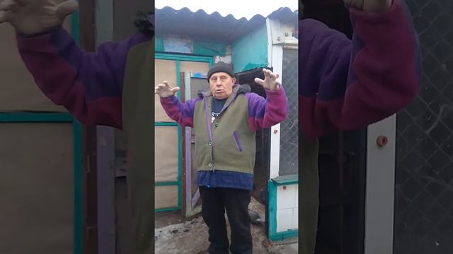 Просмотр голубей у Давыдэнко А Г ч 2 смотреть онлайн