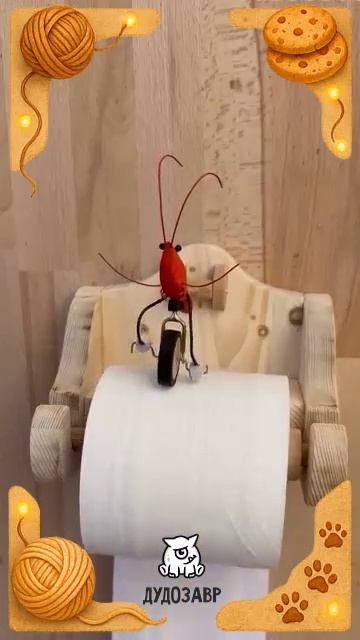 Креветка в туалете