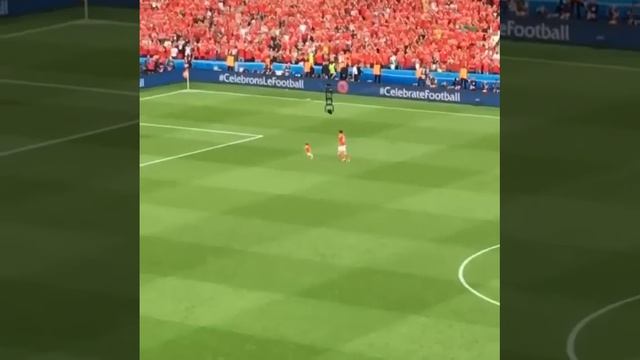 Уэльс - Северная Ирландия 1:0 - Дочка Гарета Бэйла празднует выход в четверть финал - Евро 2016 смотреть онлайн