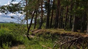 Селигер. Турбаза Геохи. Мыс Бычок. 19.07.2024