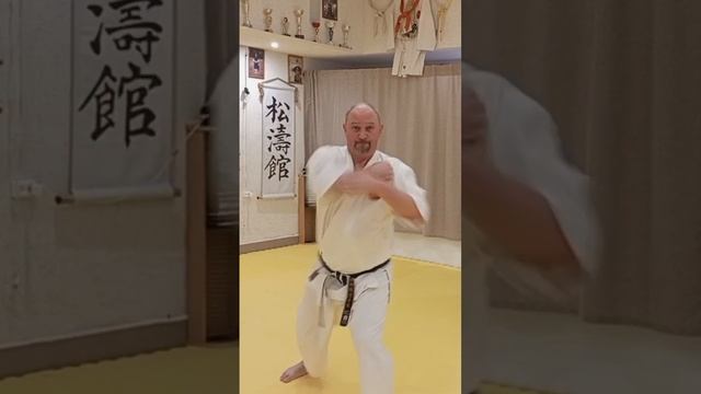 Каратэ. Ката Чинто (Ганкаку шо). К. Б. И. "ИКИГАЙ" Самара смотреть онлайн