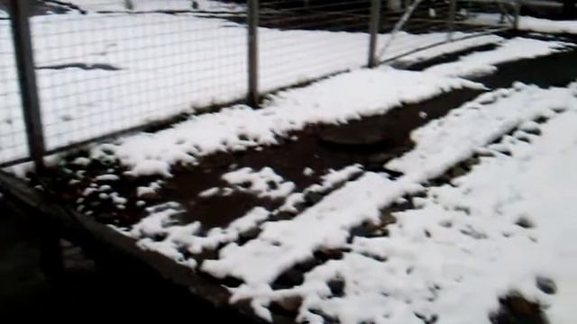 Снег в марте смотреть онлайн