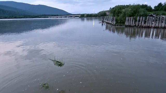 Виталий Парыгин Фрагменты купальских обрядов смотреть онлайн