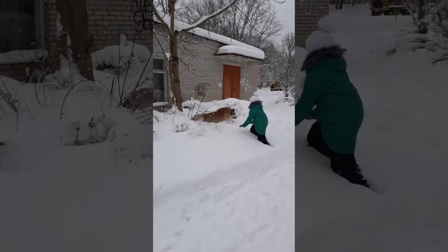 белка снежная