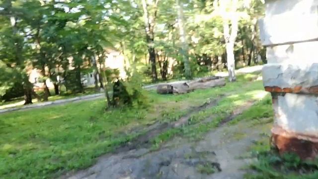6.08'23 главная ценность села Бычиха — санаторий Уссури; лес рядом с заповедником Большой #Хехцир, смотреть онлайн