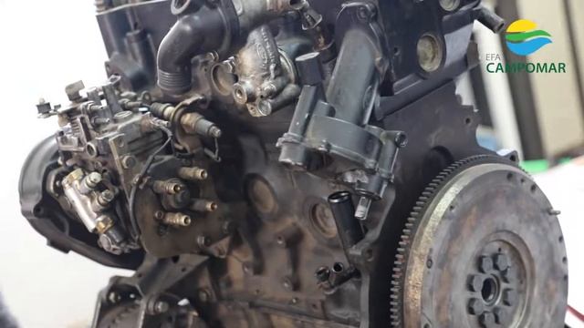 EFA CAMPOMAR, MUCHO + QUE FORMACIÓN смотреть онлайн