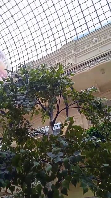 Главный магазин ГУМ на Красной площади|#respect #shortvideo #travel #russia #гум #москва #moscow смотреть онлайн