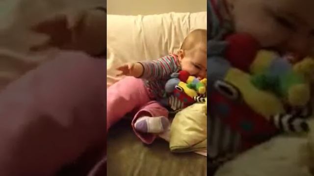 Обнаружен 7-й зуб  31.01.14