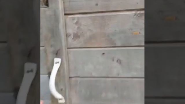 Бу бытовка за 30.000руб 6м смотреть онлайн