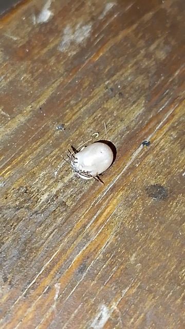 И И  . Нейросети. Автомобили.