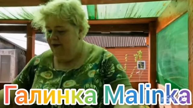 Ольга Уралочка Live /Наглость не знает границ /Обзор Влогов /Уралочка и Сафар /