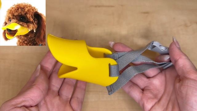 Намордник для собак