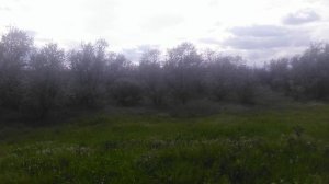 VID_20250426_154555.mp4