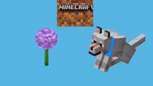 огрызок,тряпка,платок    combo! огрызок тряпка платок                 хапъу